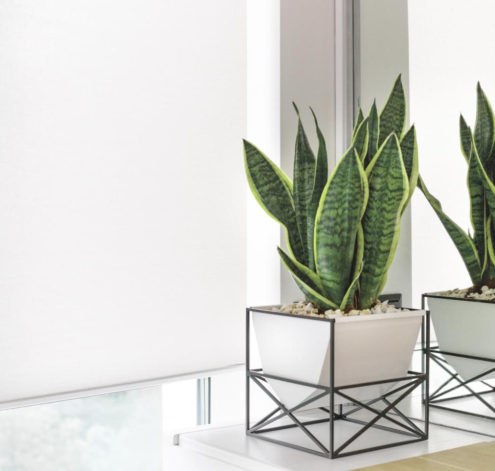 Рулонные шторы с фотопечатью